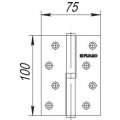 Петля Fuaro (Фуаро) съемная IN4430SR-BL PB правая (413/BL-4 100x75x2,5) латунь БЛИСТЕР